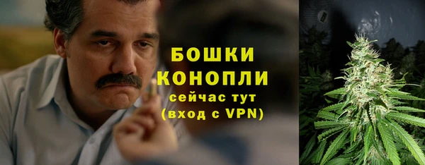 PSILOCYBIN Богородицк