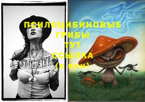 молекула духа Богородск